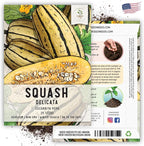 Seed Needs, Delicata Squash Seeds - Image 6