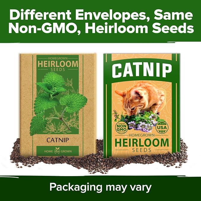 HOME GROWN Catnip Seeds Heirloom Herb 4232 Seeds - Image 8