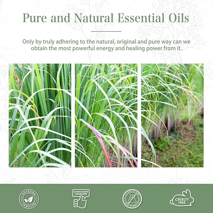 PHATOIL 100ML Lemongrass Essential Oil, 3.38FL.OZ Essential Oils - Image 6