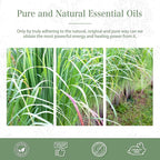 PHATOIL 100ML Lemongrass Essential Oil, 3.38FL.OZ Essential Oils - Image 6