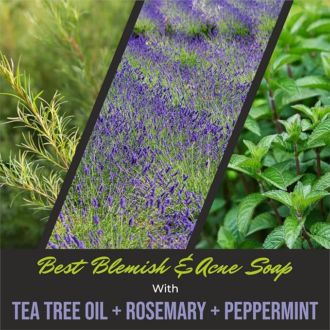 First Botany, ALL Natural Body Wash - Image 5