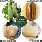 Natural Shower Loofah Sponge, Bath Exfoliating Loofa Body Scrubber, Soft and - Image 5