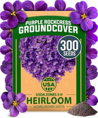 HOME GROWN Aubrieta Rock Cress Purple, Flowering Ground Cover Seed Pack by HOMEGROWN