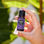 Edens Garden Lavender- Fine Essential Oil- 100% Pure Premium Grade, Therapeutic - Image 2
