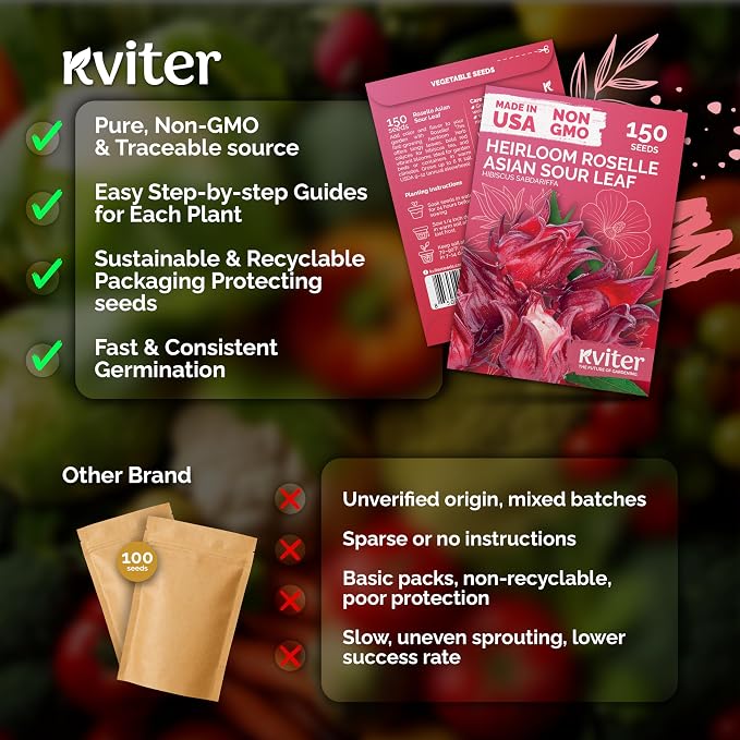 KVITER 150 Roselle Seeds for Planting – Jamaican Sorrel/Cranberry Hibisco - Image 5