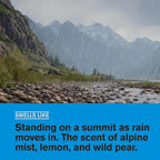 Every Man Jack Mountain Rain Mens Body Wash - Image 3