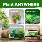 HOME GROWN 25 Herb Seeds for Planting 8, 700+ Non-GMO Heirloom Seeds | Extra - Image 9