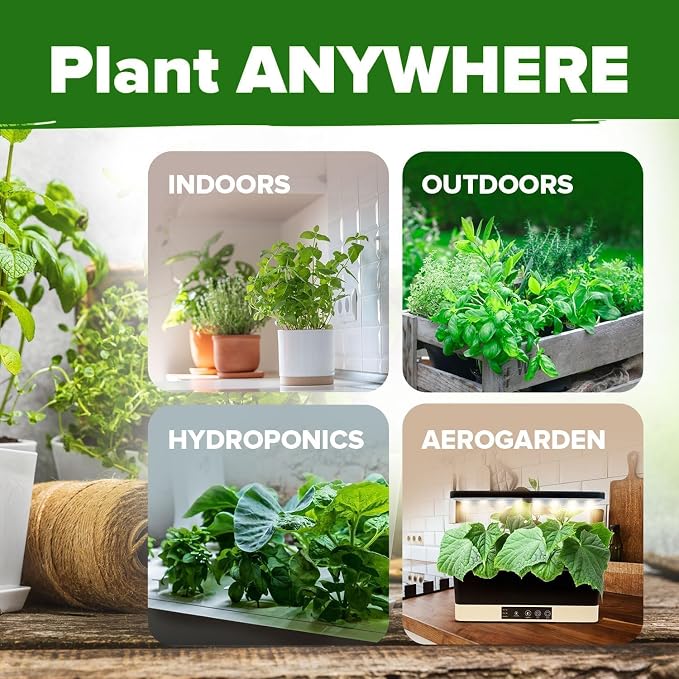 HOME GROWN 25 Herb Seeds for Planting 8, 700+ Non-GMO Heirloom Seeds | Extra - Image 9