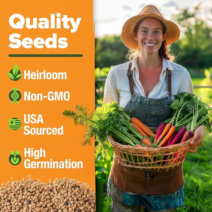 HOME GROWN Rainbow Carrot Seeds 10 Variety Mix 3350+ Heirloom Non-GMO Seeds - Image 2