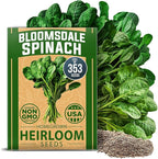 HOME GROWN Bloomsdale Spinach Seeds 353+ Non GMO Heirloom Seeds by HOMEGROWN