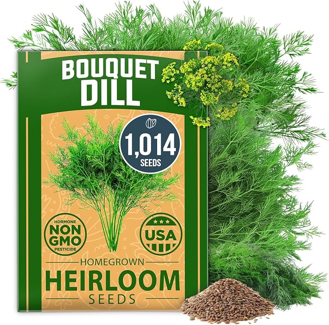 HOME GROWN Non GMO Dill Seeds for Planting 1, 014 Bouquet Dill Seeds and by HOMEGROWN