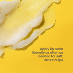 Burt's Bees Shea and Aloe Moisturizing Lip Balm, Lip Moisturizer - Image 15