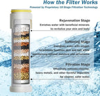 CWPW Filtered Shower Head with Handheld High Pressure 4 Spray Showerhead with - Image 4