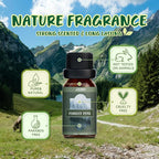 SALUBRITO Nature Fragrance Oils Set, Essential Oils Set - Image 5