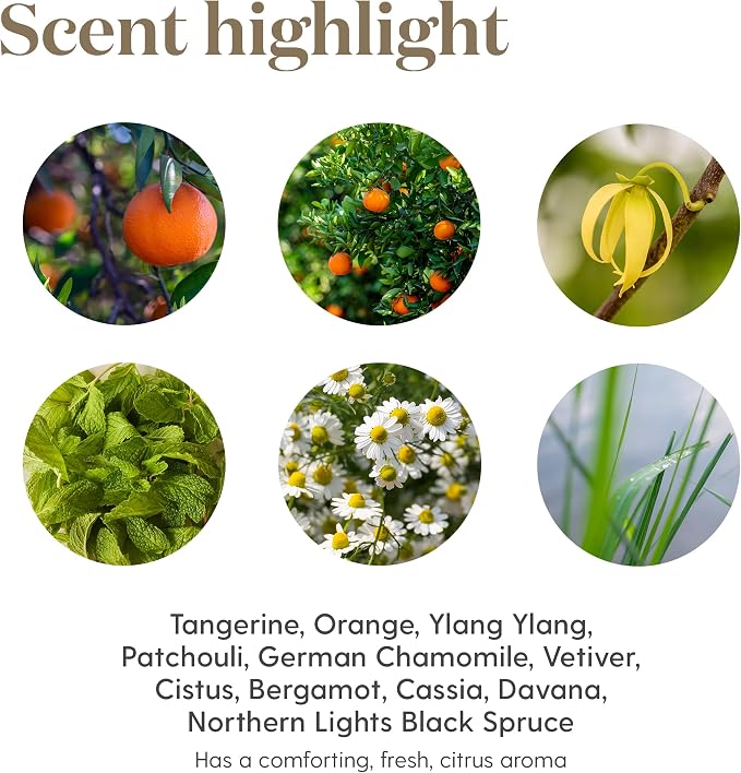 Peace & Calming II 5 ml Essential Oil by Young Living Essential Oils - Image 6