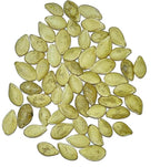 Seed Needs, Table King Acorn Winter Squash Seeds - Image 4