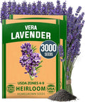 HOME GROWN Non GMO English Lavender Seeds 3, 000+ Wildflower Seed by HOMEGROWN