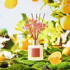 COCORRÍNA Reed Diffuser - Image 4