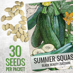 Seed Needs Zucchini Seeds for Planting Black Beauty Summer Squash - Image 3