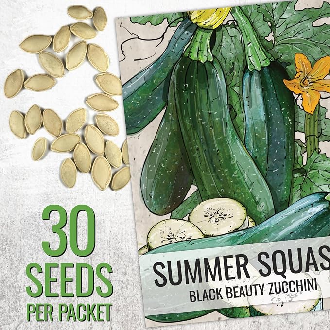 Seed Needs Zucchini Seeds for Planting Black Beauty Summer Squash - Image 3