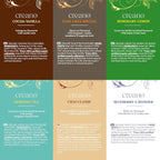 Creano Organic Tea Gift Set – 48 Organic Tea Bags in 6 Dreamy Varieties – 96 g* - Image 4