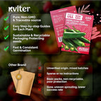 KVITER 100 Tam Jalapeno Pepper Seeds - Image 5