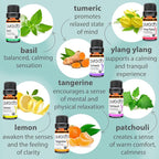 PURA D'OR Organic Sweet16 Essential Oils Set - Image 4