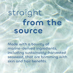 Seaweed Bath Co. Collagen Hand Cream, Rosemary Mint Scent, 2 Ounce, Sustainably - Image 4
