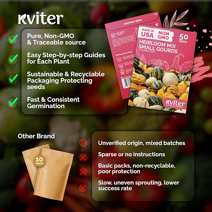 KVITER 50 Small Gourd Seeds Mix – Ornamental Fall Decor Gourds, Non GMO & - Image 5