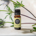 Edens Garden Cajeput Essential Oil, 100% Pure Therapeutic Grade 10 ml - Image 2
