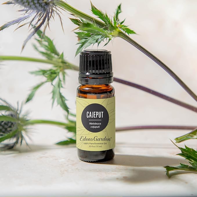 Edens Garden Cajeput Essential Oil- 100% Pure Premium Grade, Therapeutic - Image 2