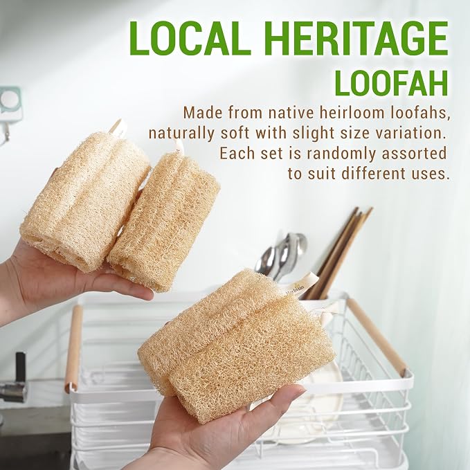 Natural Vietnamese Loofah Sponge, 100% Plant-Based Luffa Exfoliating Body - Image 8