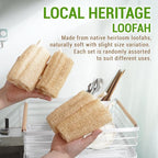 Natural Vietnamese Loofah Sponge, 100% Plant-Based Luffa Exfoliating Body - Image 8