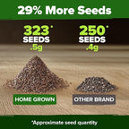 HOME GROWN Non GMO White Sage Seeds 323 Pack Heirloom Seeds - Image 3