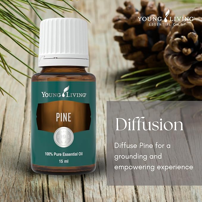Young Living Pine Essential Oil | 15 ml | Fresh, Woodsy Aroma - Image 2