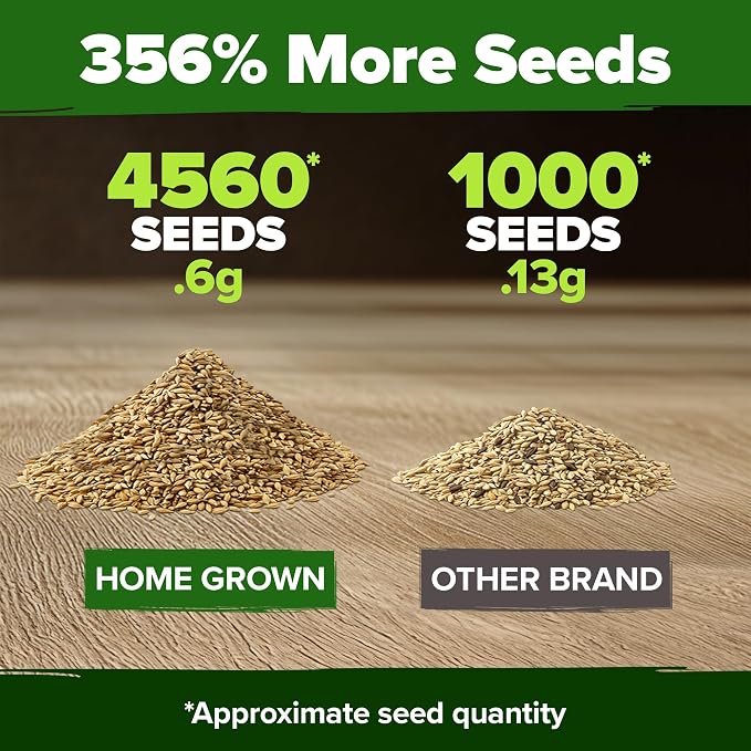 HOME GROWN German Chamomile Seed Pack – 4, 560 Heirloom Seeds - Image 3