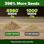 HOME GROWN German Chamomile Seed Pack – 4, 560 Heirloom Seeds - Image 3