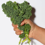 Pacifica Kale Yeah! Redness Rehab Serum – Niacinamide & Super Greens Face Serum - Image 12