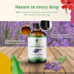 SVA Lavender Essential Oil – 4 Fl Oz – 100% Natural Lavender Oil - Image 7