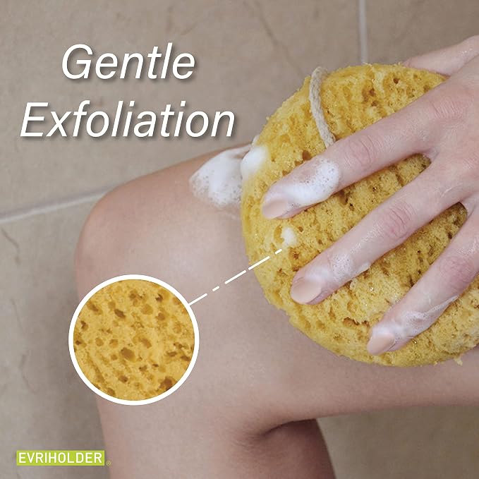 PARADISO Evriholder Sea Foam Body Sponge - Image 7