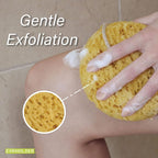PARADISO Evriholder Sea Foam Body Sponge - Image 7