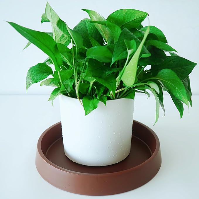Plant Saucer Tray for Ceramic Plastic Pots, 10 inch Plant Saucers for Indoors - Image 4
