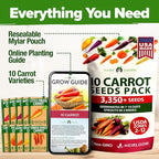 HOME GROWN Rainbow Carrot Seeds 10 Variety Mix 3350+ Heirloom Non-GMO Seeds - Image 8