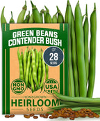 HOME GROWN Contender Bush Bean Seeds 28+ Heirloom Non-GMO, High Germination by HOMEGROWN