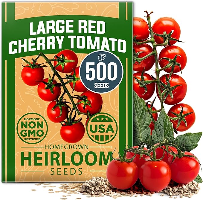 HOME GROWN Large Red Cherry Tomato Seeds 500+ Heirloom Non GMO Seeds by HOMEGROWN