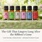 P&J Trading Fragrance Oils for Diffusers for Home Spring Set Fragrance Scents - Image 5