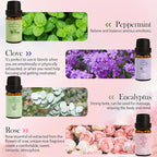 8 Pcs 100% Pure Floral Essential Oils Set - Image 5