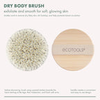 EcoTools Dry Body Brush 4-Pack – Exfoliating Body Scrubber - Image 3