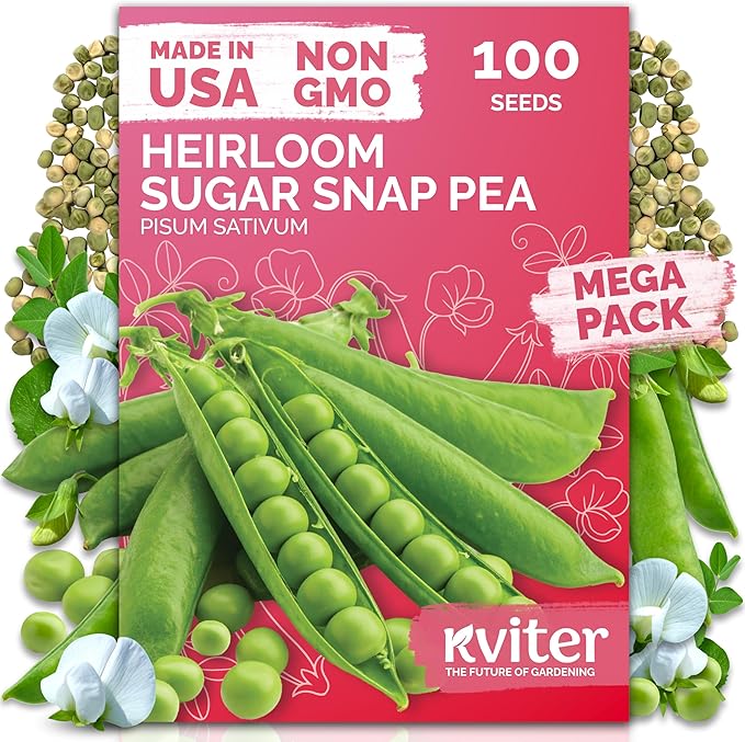 KVITER 100 Sugar Snap Peas Seeds – Sweet Pea Heirloom Seed, Crisp Flavor by KVITER