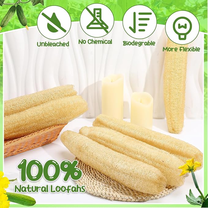 6 Pack Natural Loofah Sponge 15.7 Inch - Image 2